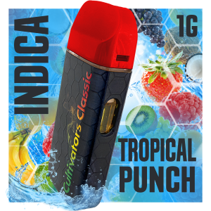 Tropical Punch - Distillate Disposable 1g-image