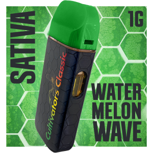 Watermelon Wave - Distillate Disposable 1g-image